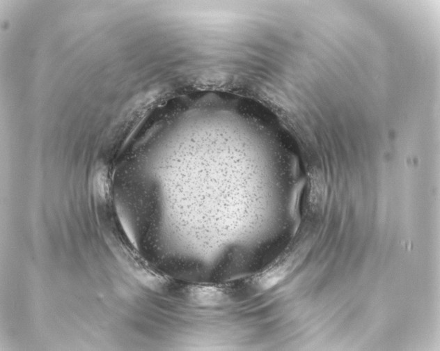 X0000088890287200706221847