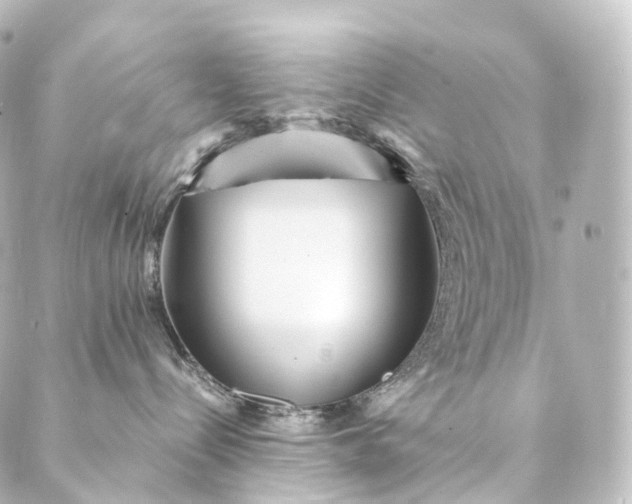 X0000088890288200706221847