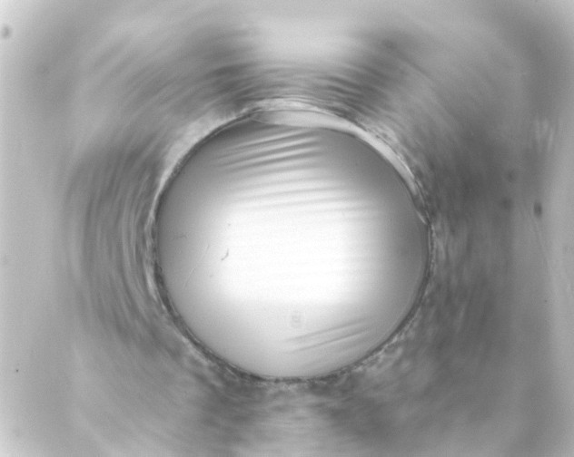 X0000088890289200706221847