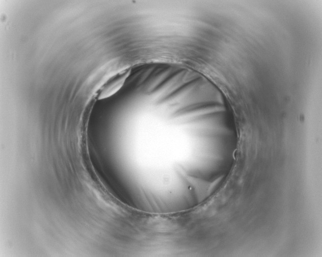 X0000088890290200706221847