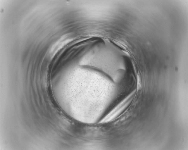 X0000088890291200706221847