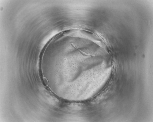 X0000088890292200706221847