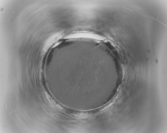 X0000088890293200706221847