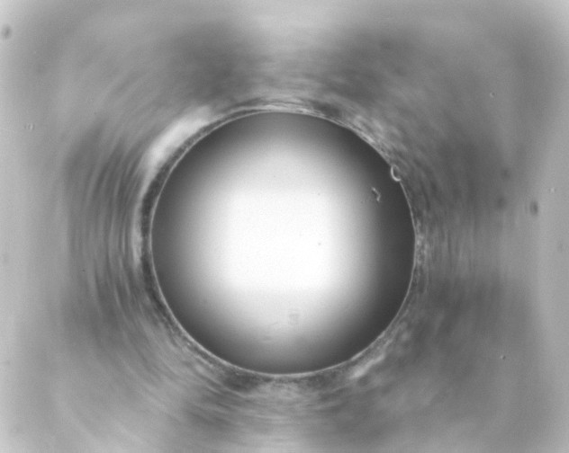 X0000088890294200706221847