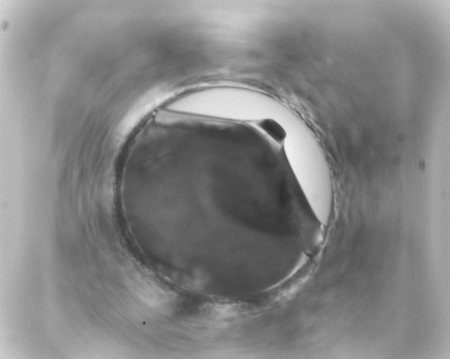 X0000088890295200706221847