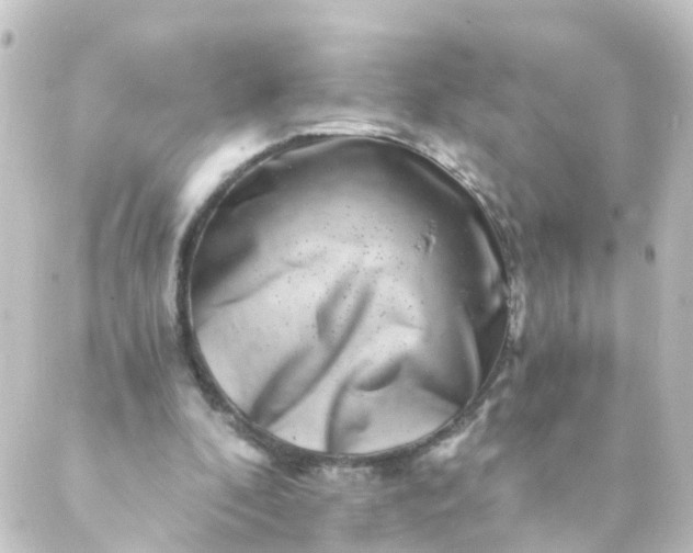 X0000088890296200706221846