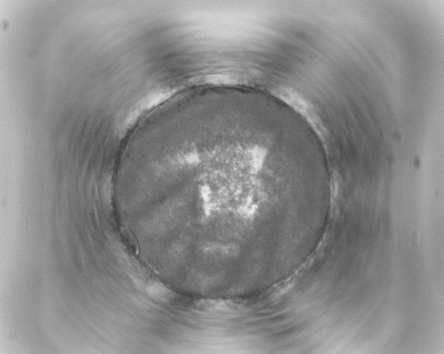 X0000088890297200706221846