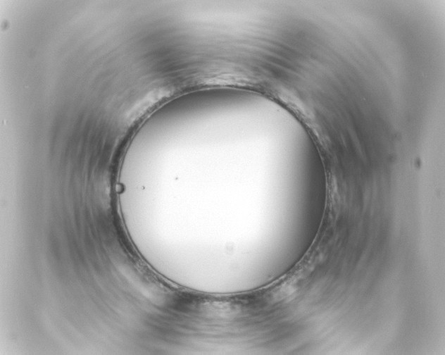 X0000088890298200706221846