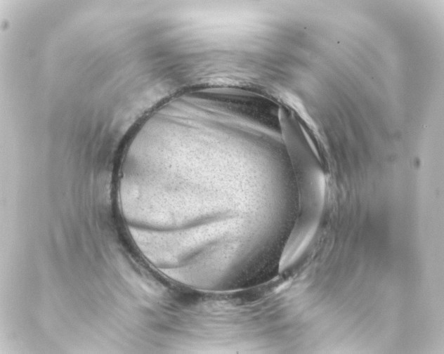 X0000088890299200706221846