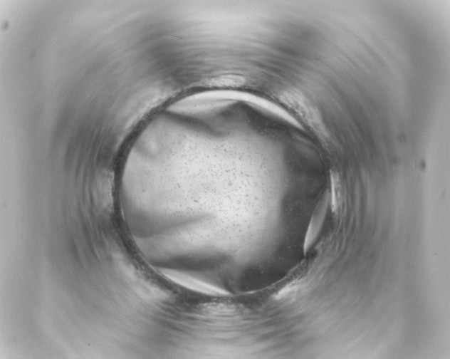 X0000088890300200706221846