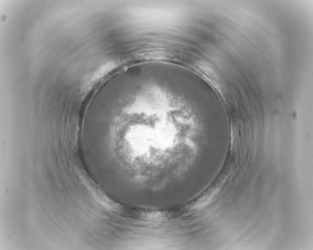 X0000088890301200706221846