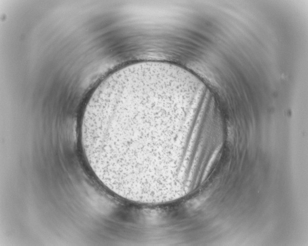 X0000088890302200706221846