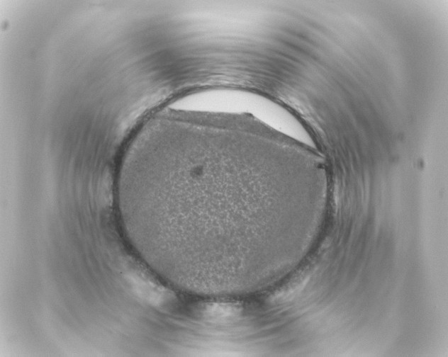 X0000088890303200706221846