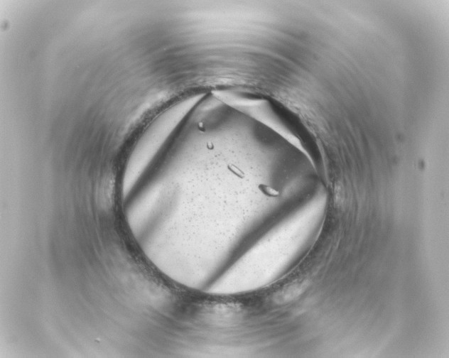 X0000088890304200706221846