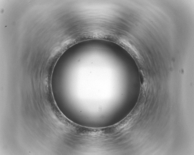 X0000088890306200706221846