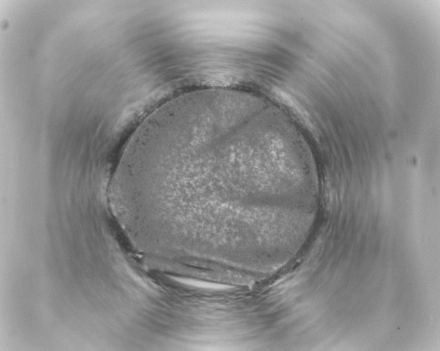 X0000088890307200706221846