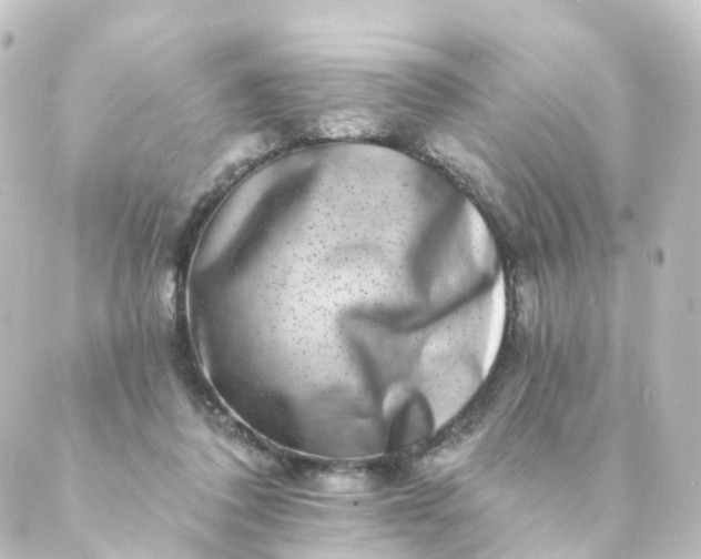 X0000088890308200706221846