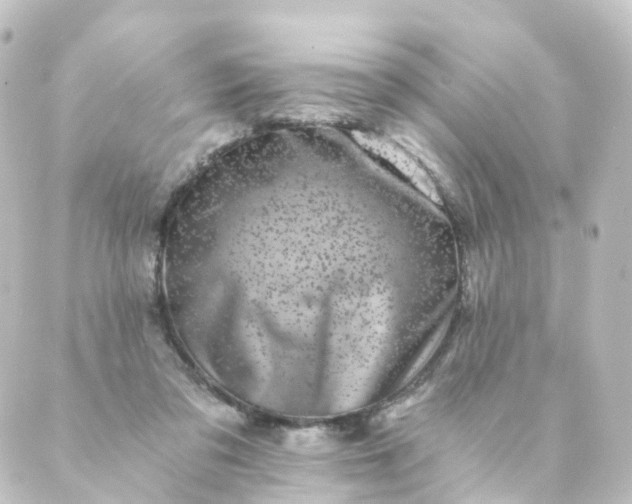 X0000088890309200706221846