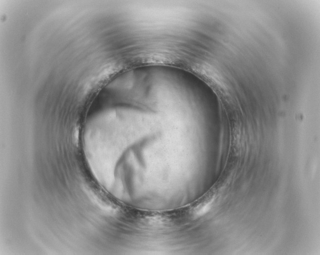 X0000088890310200706221846