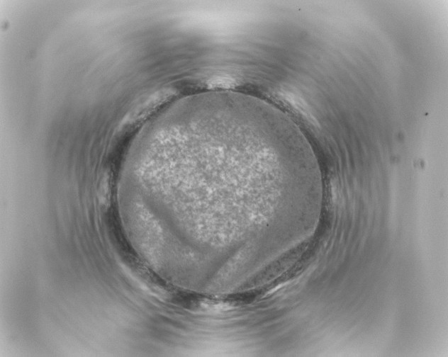 X0000088890311200706221846