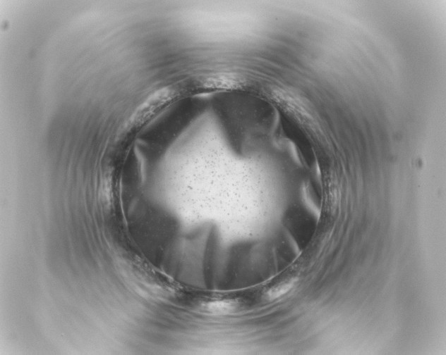 X0000088890312200706221846