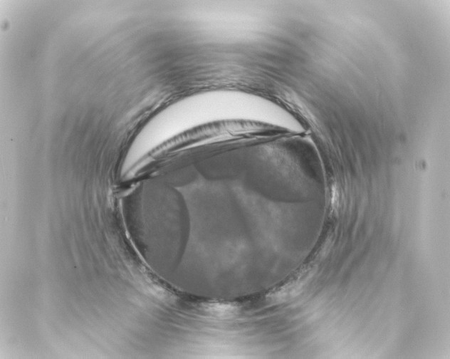 X0000088890313200706221846