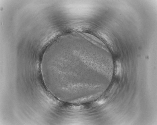 X0000088890314200706221846