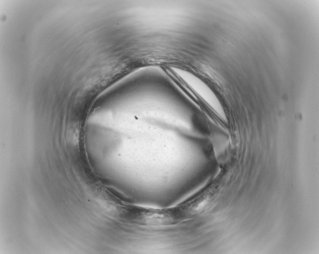 X0000088890315200706221846