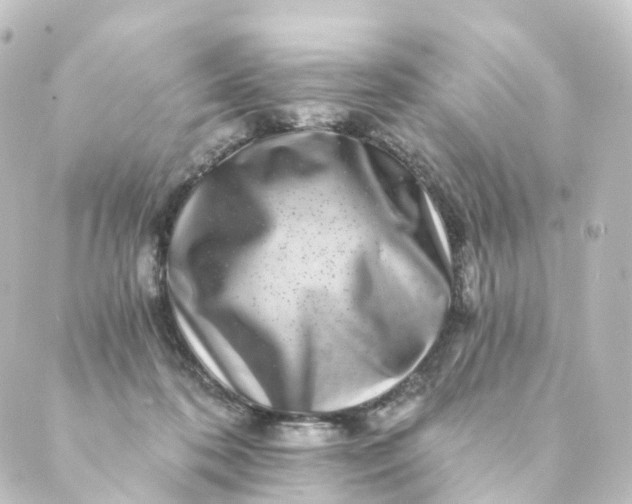 X0000088890316200706221846