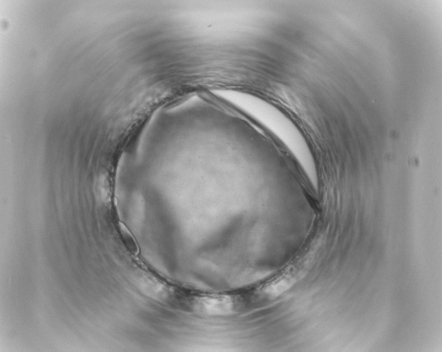 X0000088890317200706221846