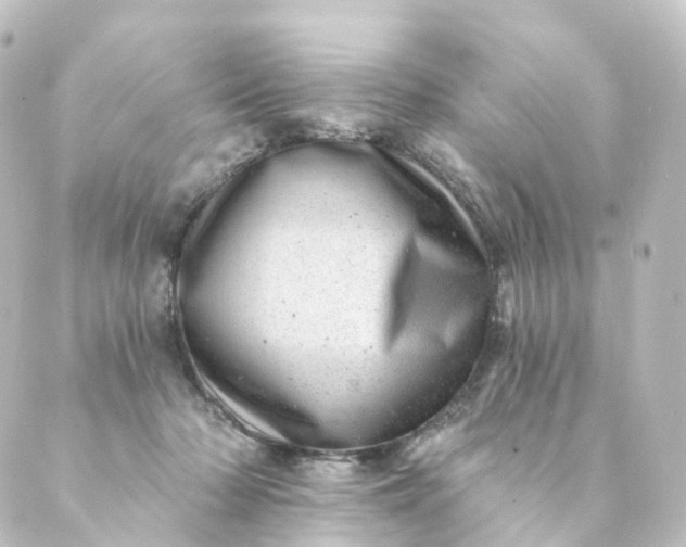 X0000088890318200706221846