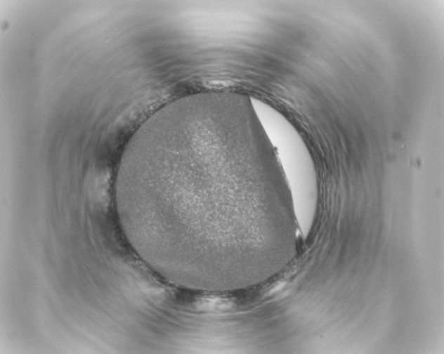 X0000088890319200706221846