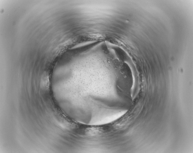 X0000088890320200706221846