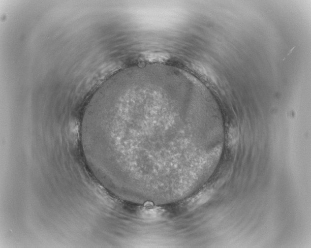 X0000088890321200706221846