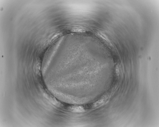 X0000088890322200706221846