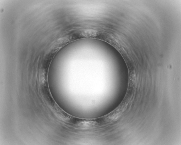 X0000088890323200706221846