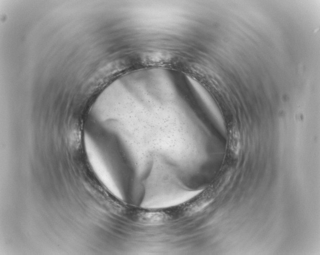 X0000088890324200706221846