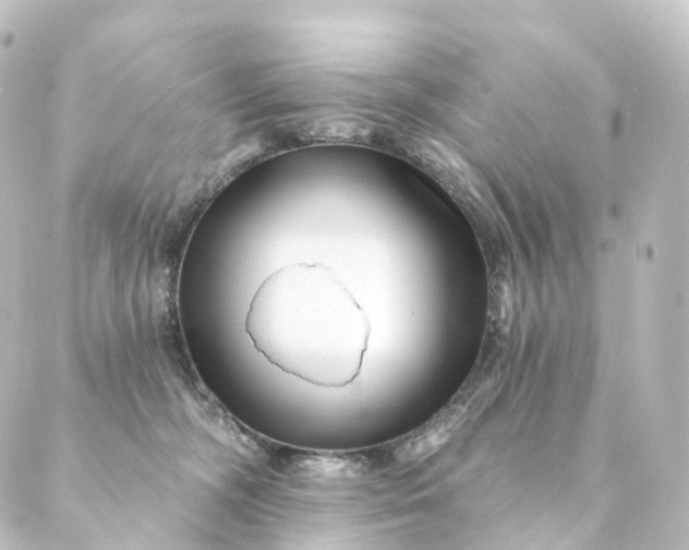 X0000088890326200706221846