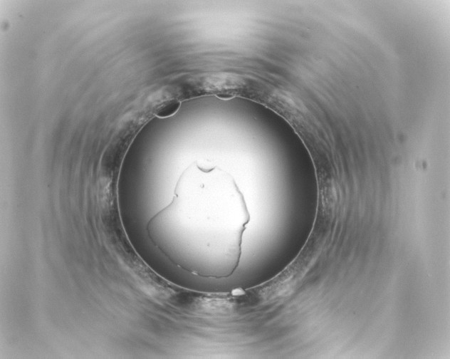 X0000088890327200706221846