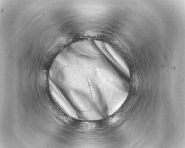 X0000088890328200706221846