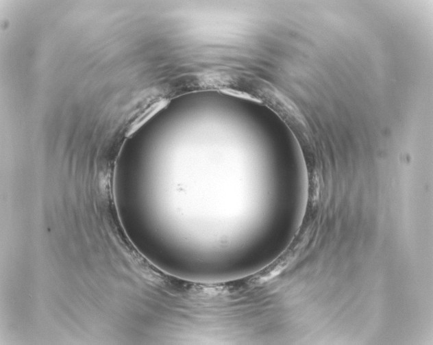 X0000088890329200706221846