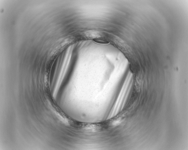 X0000088890330200706221846