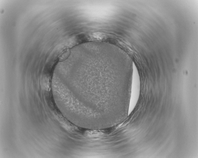 X0000088890331200706221846