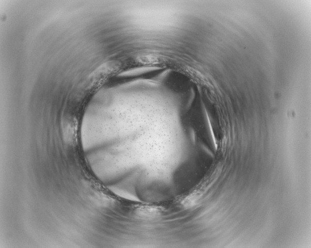 X0000088890332200706221846