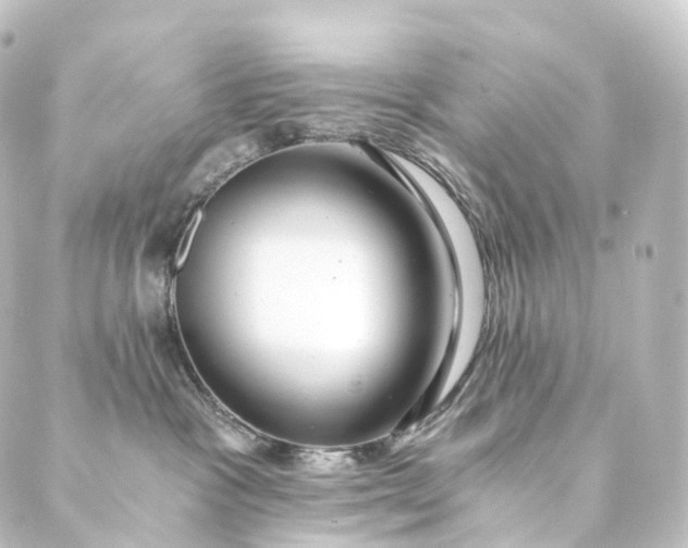 X0000088890333200706221846