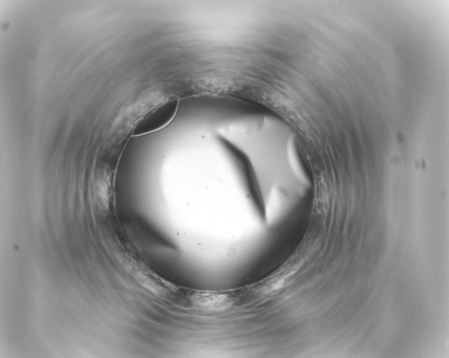 X0000088890334200706221846