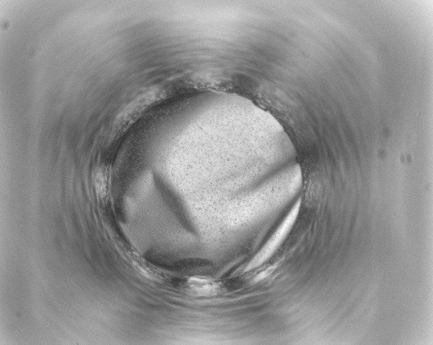 X0000088890335200706221846