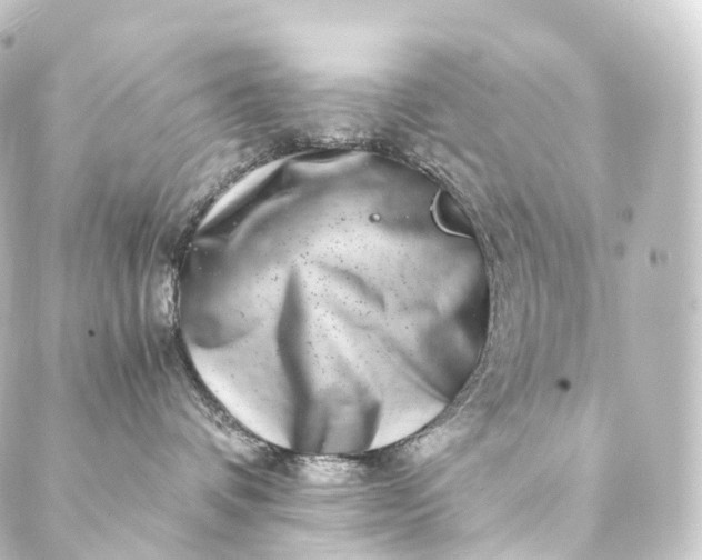 X0000088890336200706221846