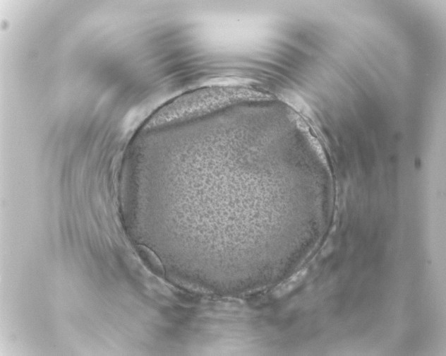 X0000088890337200706221845