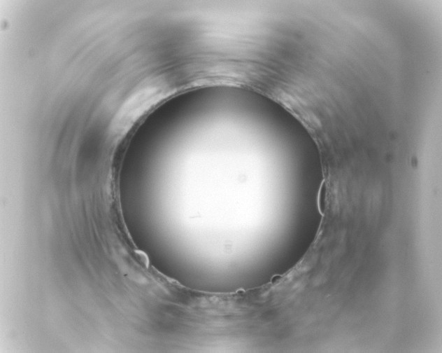 X0000088890338200706221845